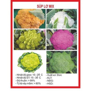 Gói 100 hạt giống súp lơ mix