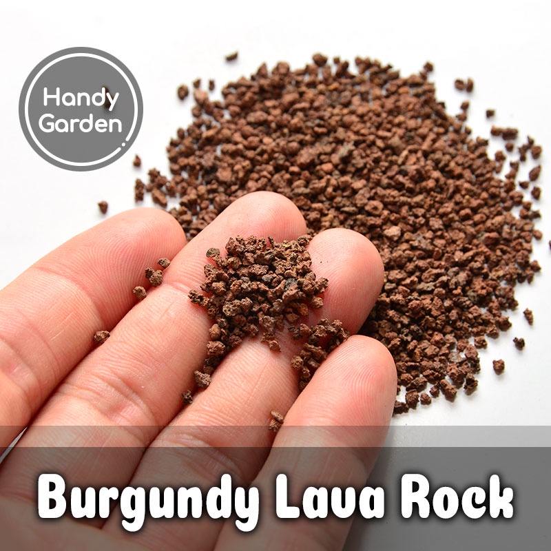 3kg - Đá Lava Rock Premium sạch bụi vụn, chuẩn kích thước 0.5-1mm 1-3mm 2-5mm 5-9mm đá nham thạch tổ ong | Handy Garden