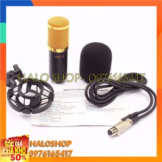 Micro thu âm live stream hát karaoke online chuyên nghiệp BM-900