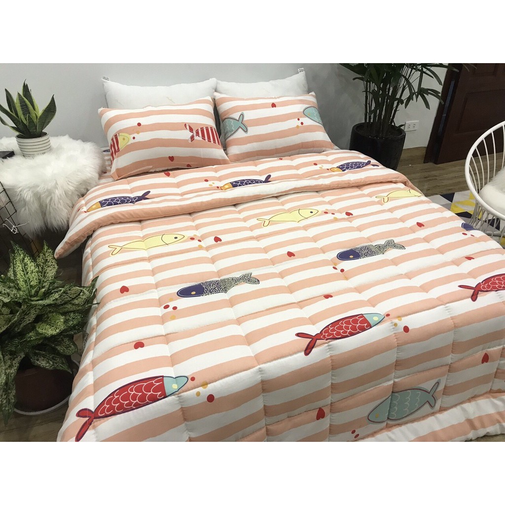 Bộ_chăn_ga_gối_cotton_Demi_100%_cotton