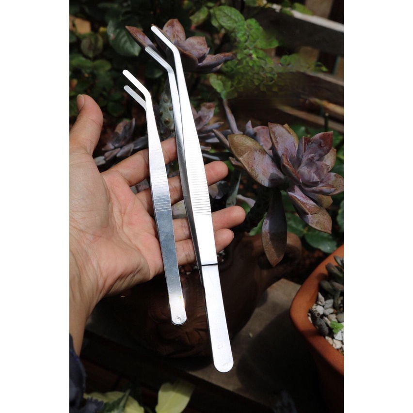 Nhíp gấp đa năng mũi cong dùng trang trí tiểu cảnh, gấp những vật khó size 17cm-25cm