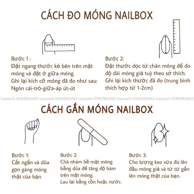 Nail box thiết kế