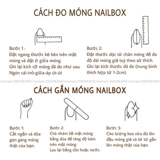 Nail box thiết kế