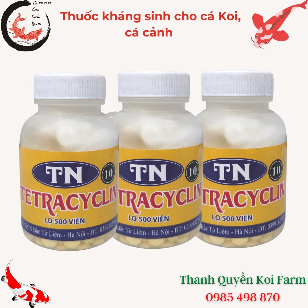 Thuốc kháng sinh trị lở loét nhiễm khuẩn cho cá Koi, cá cảnh TN 10 Lọ 500 viên