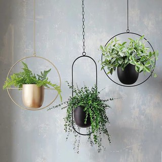 Giá móc treo cây cảnh, cây thủy canh xinh xắn