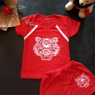 Bộ hổ cotton bé trai