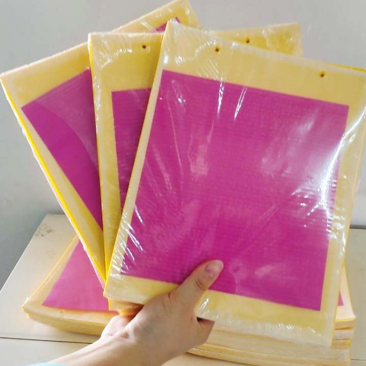 BẪY SIÊU DÍNH RUỒI VÀNG Bám Dính 2 Mặt, Kích thước 20 x 25cm