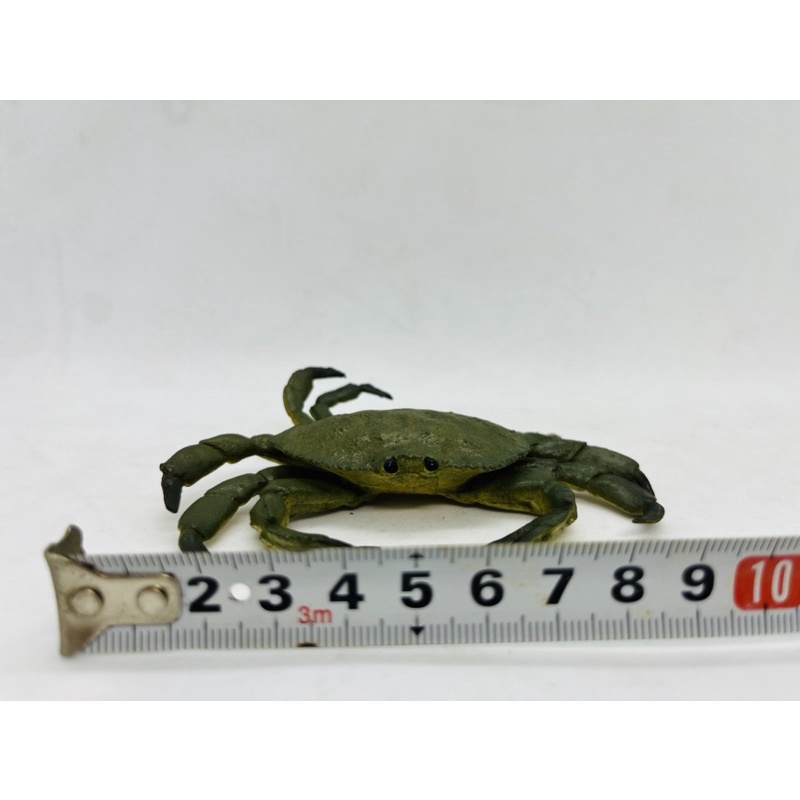 Mô hình động vật , đồ chơi con vật AAA chính hãng Cua , ghẹ các loại - Schleich House