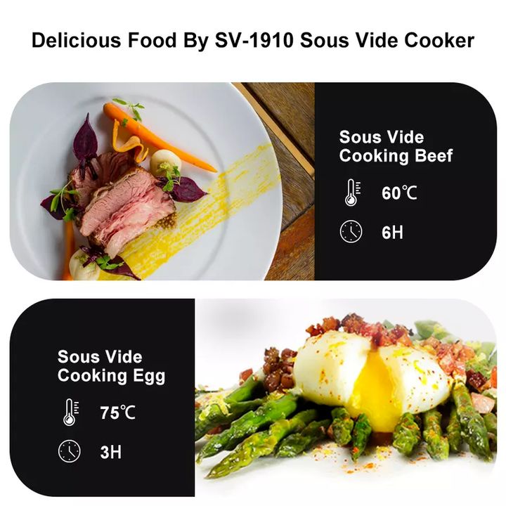Máy nấu chậm Sous Vide SV-1910 công suất 1500W thương hiệu Biolomix - Bảo Hành 2 Năm