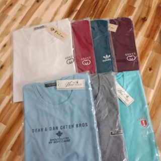 Combo 8 áo thun Nam