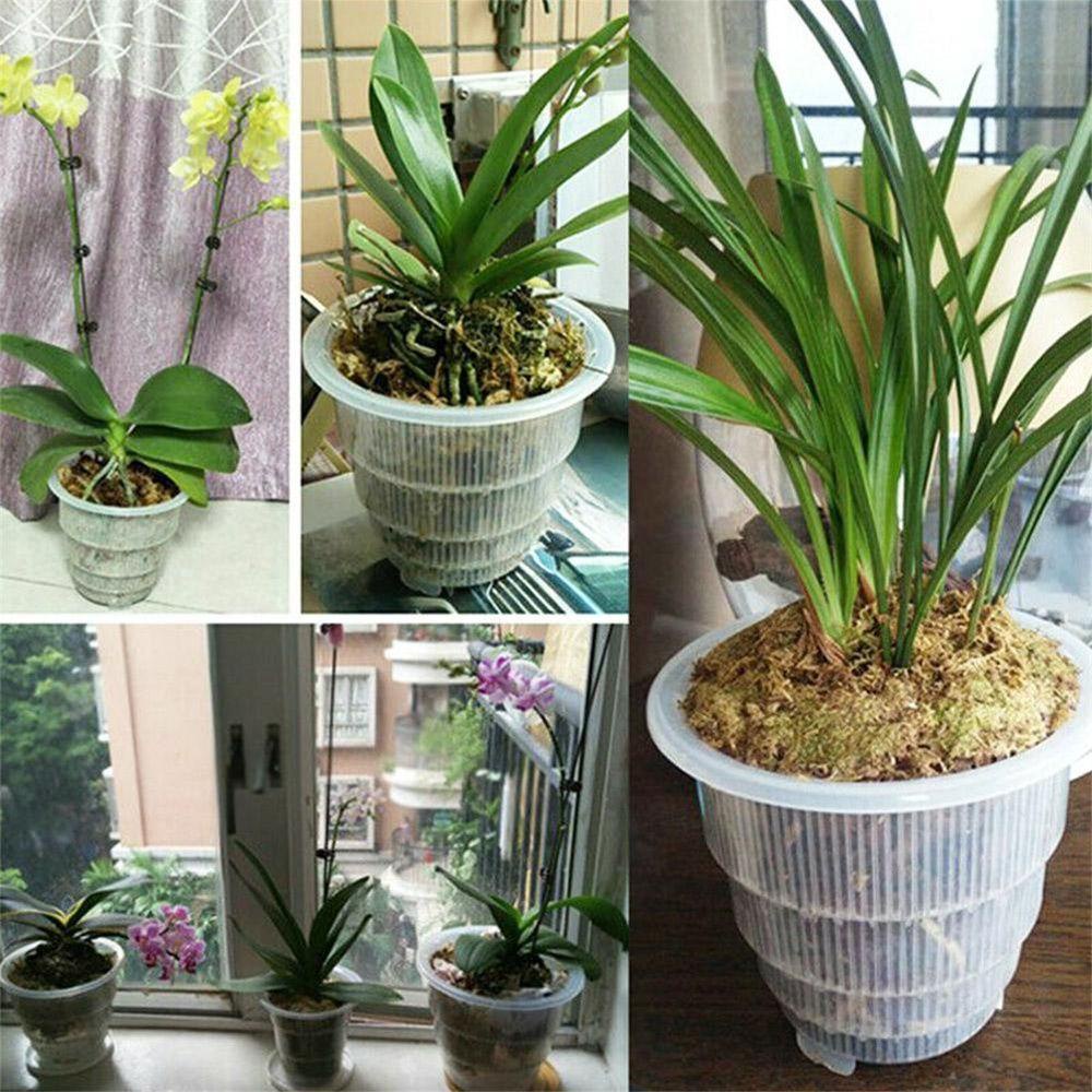 LONTIME Chậu Trồng Hoa Lan Dạng Lưới Tiện Dụng
