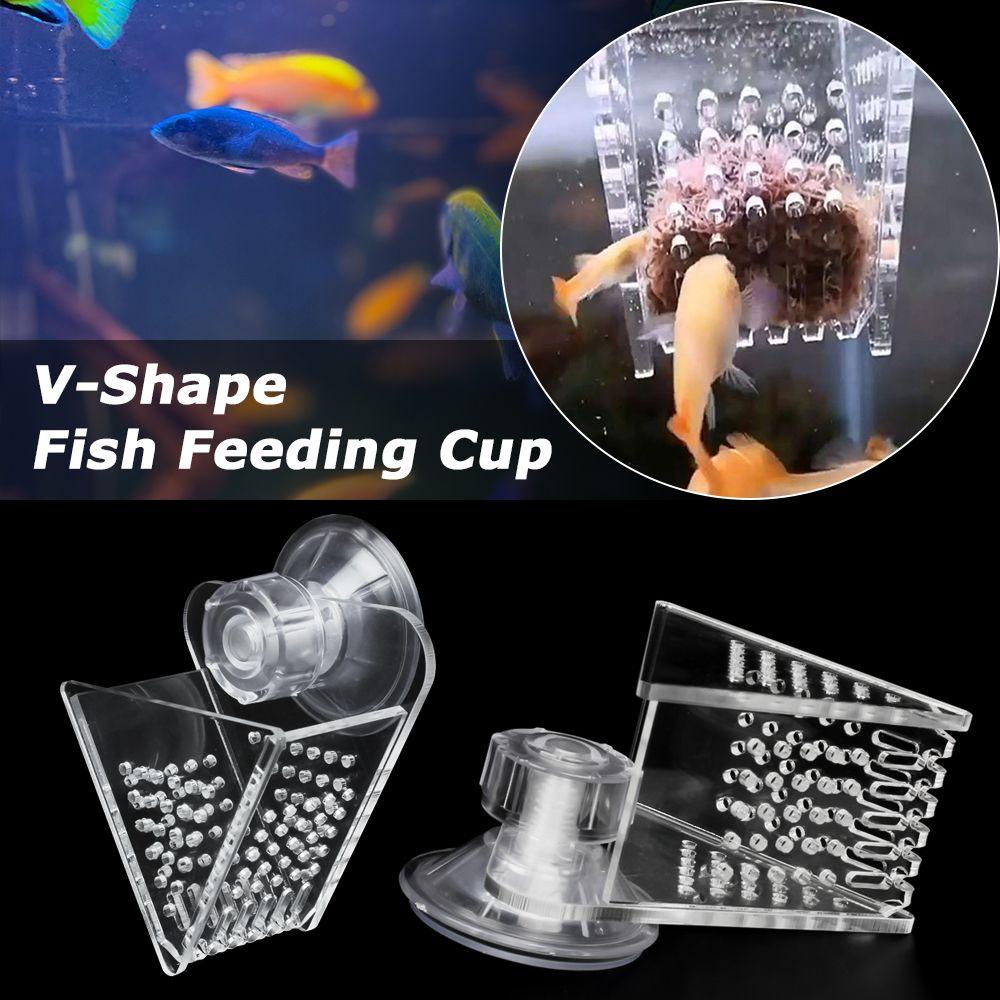 Dụng Cụ Cho Cá Ăn Tự Động Có Cốc Hút Tiện Dụng