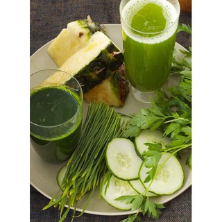 Hạt giống cỏ lúa mì wheatgrass hữu cơ Markal 1kg