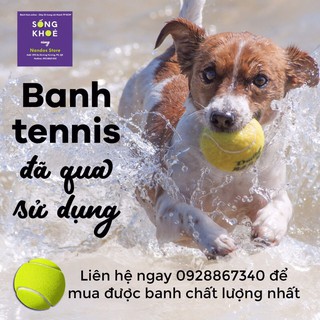 Banh tennis tập luyện loại 1 và loại đặc biệt [ đã sử dụng]