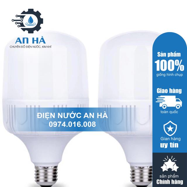 Bóng đèn led 30w