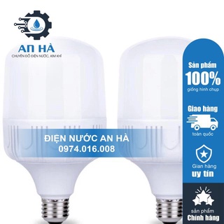 Bóng đèn led 30w