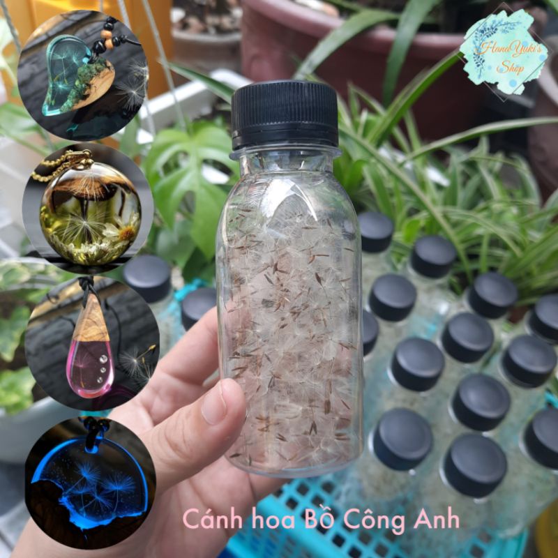 Hũ 100ml Cánh Hoa Bồ Công Anh sử dụng trong nghệ thuật thủ công Resin.