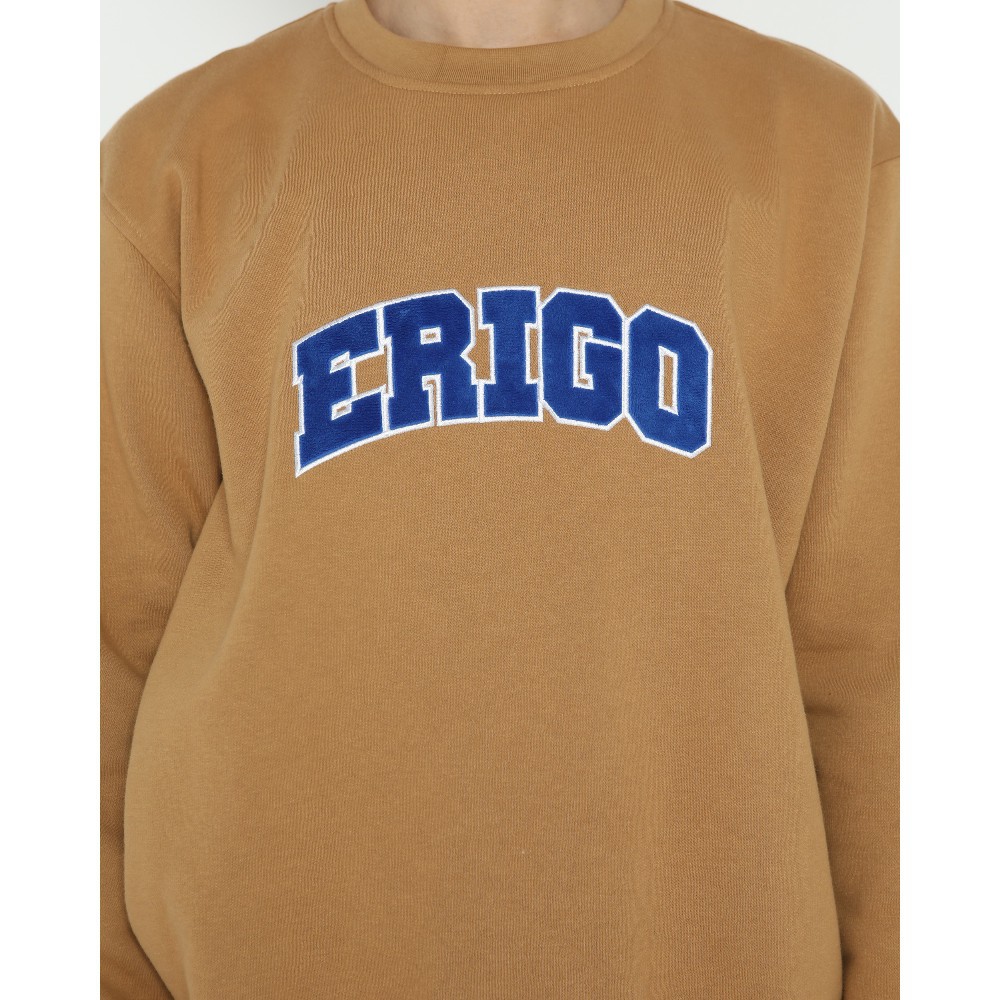 Áo Hoodie Thêu Logo Erigo Thời Trang Dành Cho Nam | BigBuy360 - bigbuy360.vn