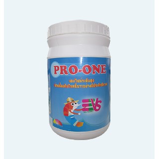 Men tiêu hóa cao cấp NÔNG TO RUÔT PRO-ONE