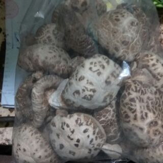 Nấm đông cô khô 100g