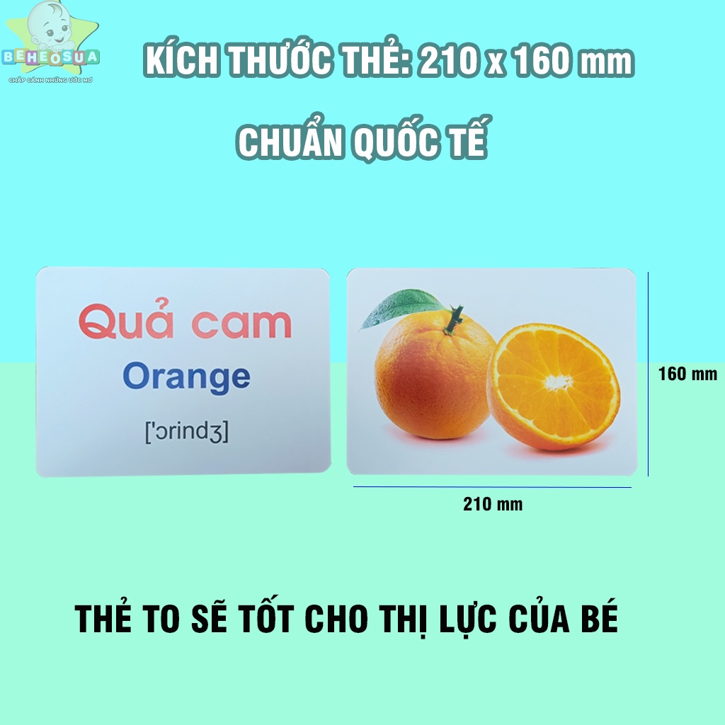Thẻ học thông minh cho bé size lớn nhất A5 15x21cm hàng chính hãng phiên bản mới - Tặng kèm file nghe tiếng anh đi kèm