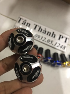 Gù tay lái Brembo
