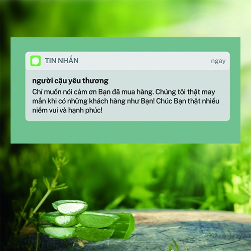 Tinh dầu sả chanh nguyên chất giải cảm xông tắm tăng đề kháng chống lại virus xua đuổi côn trùng hiệu quả