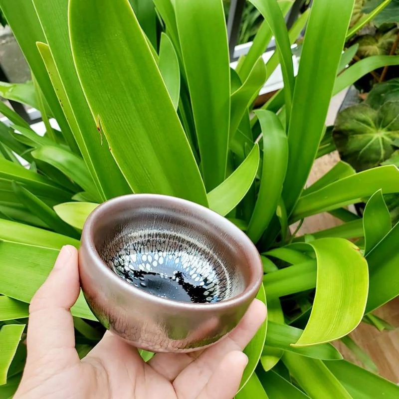 01chén Thiên mục Du Trích Giọt Dầu đặc biệt tuyệt đẹp cao cấp