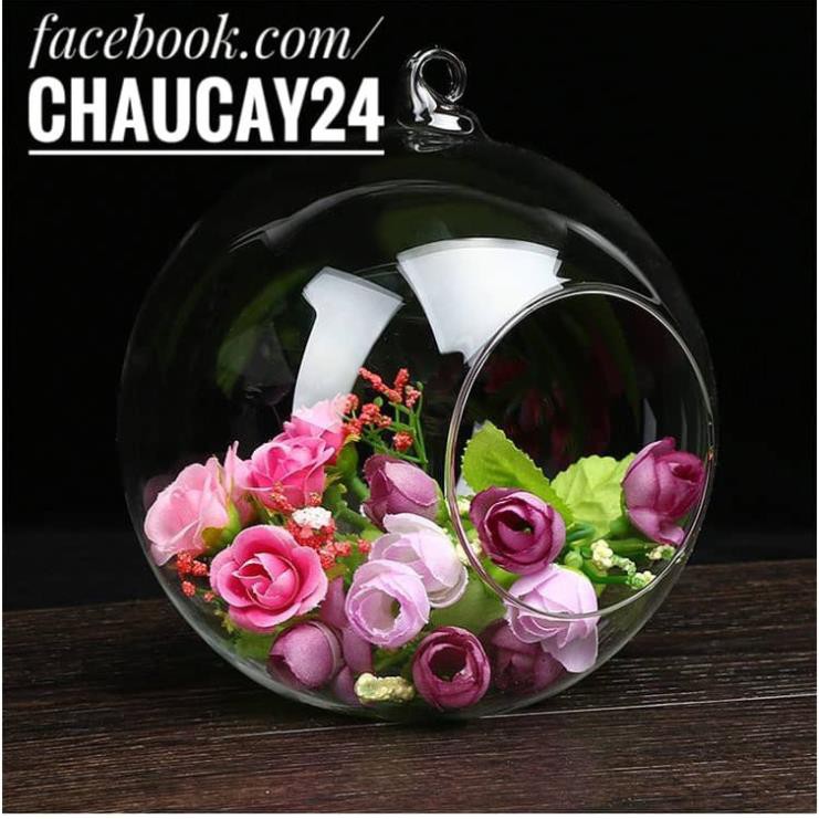 Chậu thủy tinh treo DK 10 cm trang trí terrarium, tiểu cảnh, chậu cây mini, sen đá, xương rồng, charm slime