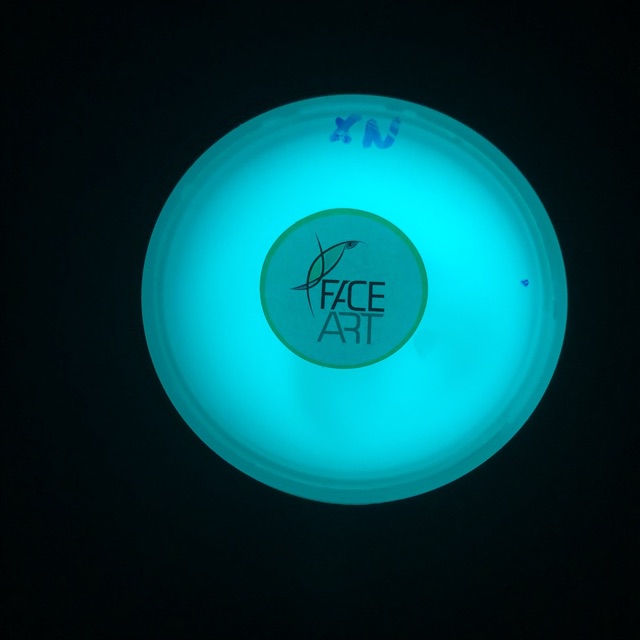 Sơn Acrylic Dạ quang Màu Xanh Ngọc - Dạ quang xanh Ngọc phát sáng trong bóng đêm sau khi được hấp thụ Ánh sáng