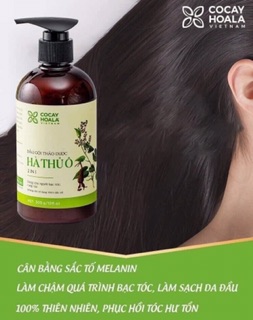 Dầu gội thảo dược Hà Thủ Ô