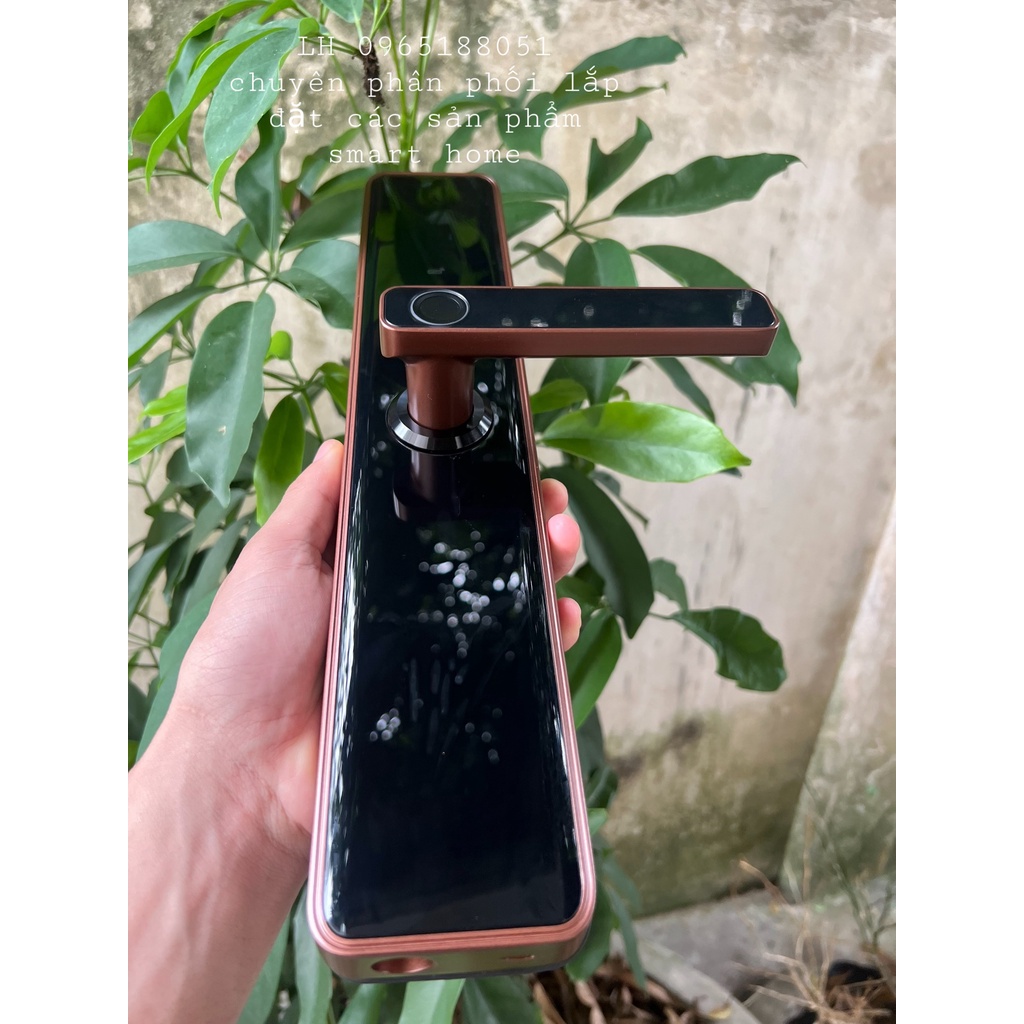 Khóa Cửa Thông Minh Wifi.Zigbee  Tuya M8 2022