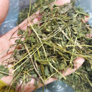 Trà giảo cổ lam Hà Giang 1kg