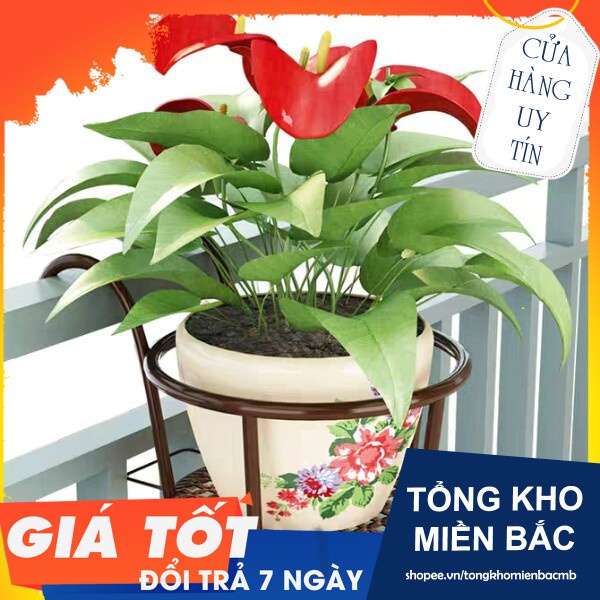 [ĐẠI HẠ GIÁ] Giá treo cây cảnh ngoài ban công