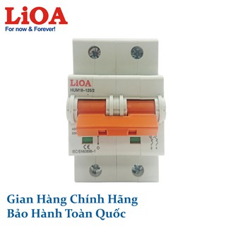APTOMAT LiOA 2 Cực 100A (MCB2100/4,5 MCB2100/6 MCB2100/10)