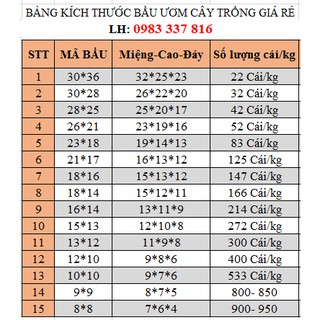 💝♥️ Bầu ươm cây giống size 30*28(32 cái/kg) 💖💘