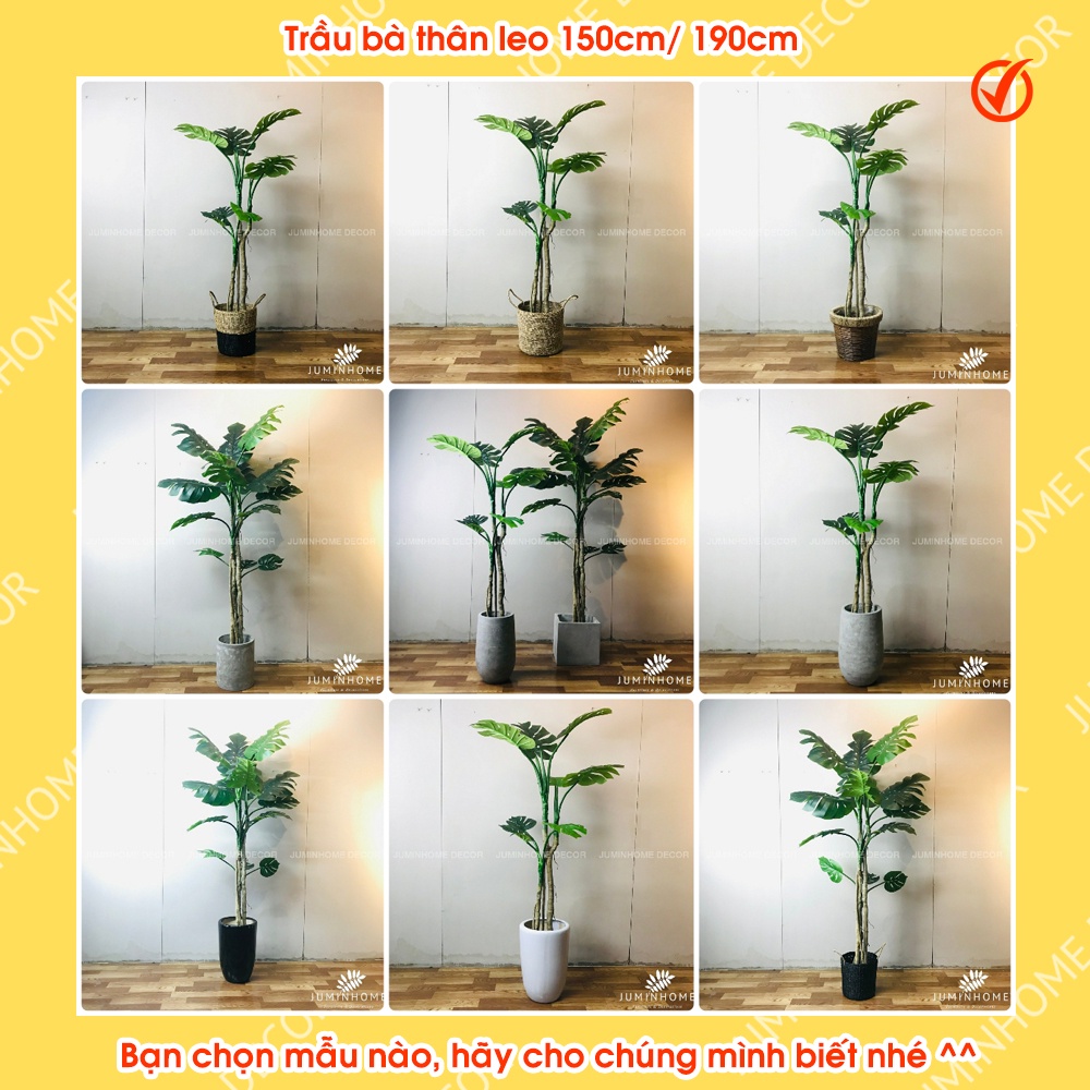 Cây trầu bà giả, monstera, cây lá rùa, trầu bà lá xẻ - Cây giả decor trang trí nhà cửa nội thất phòng khách phòng ngủ