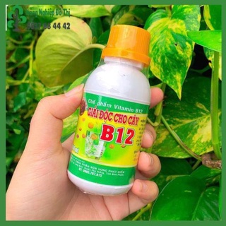 Vitamin B12 giải độc cho cây trồng chai 100ml
