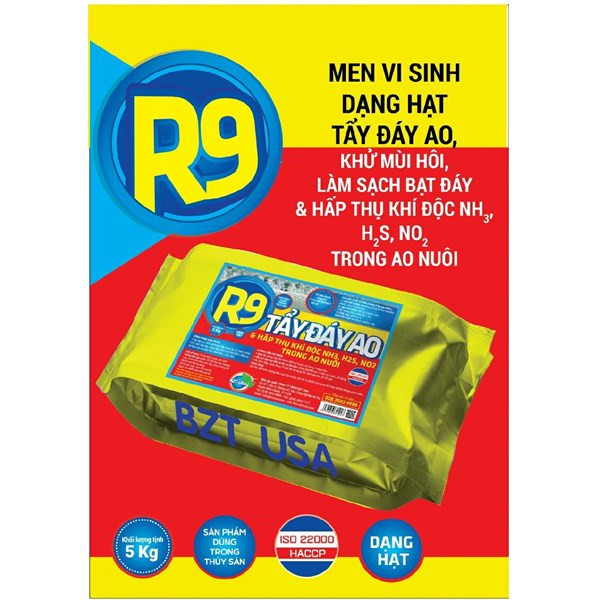 BZT USA - R9 TẨY ĐÁY AO (Gói 5kg)