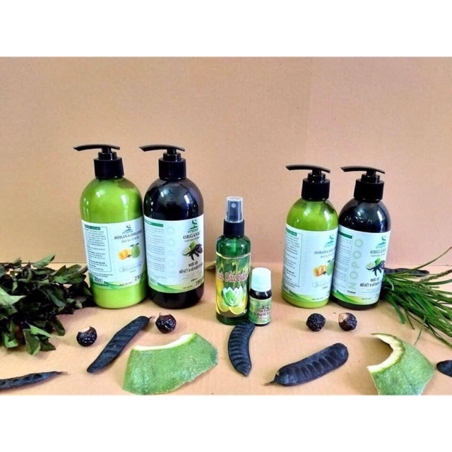Nước gội bồ kết Sorana
