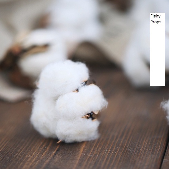 Bông Cotton Đạo Cụ Chụp Ảnh Phụ Kiện Trang Trí Decor