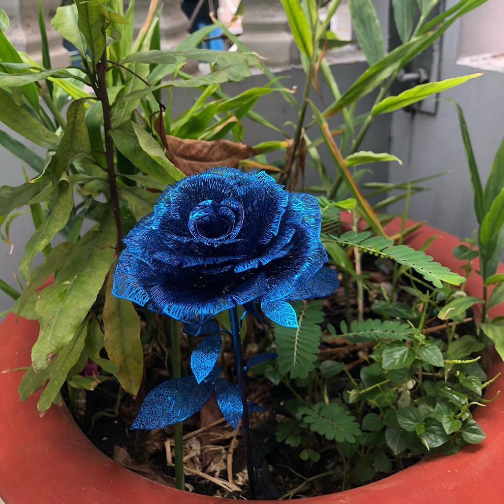 Mô Hình Kim Loại Lắp Ráp 3D Piececool Bông Hồng Xanh Blue Rose