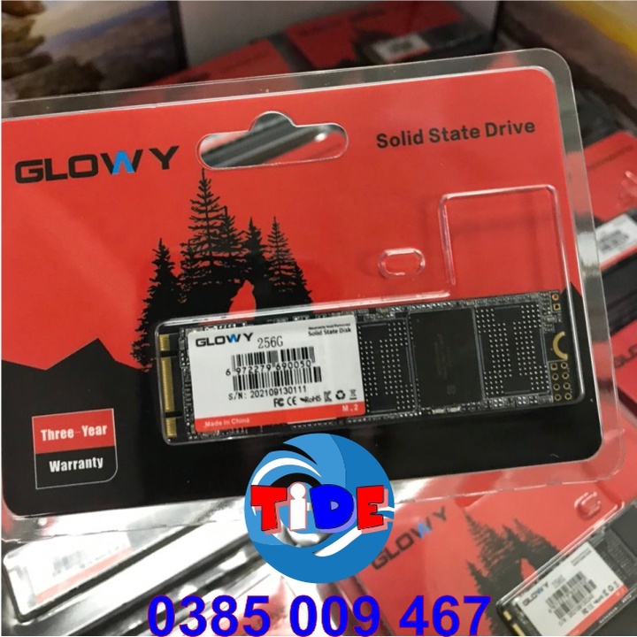 Ổ cứng SSD M2.NGFF Gloway 256GB (SATA III) – CHÍNH HÃNG – Bảo hành 3 năm - SSD M.2