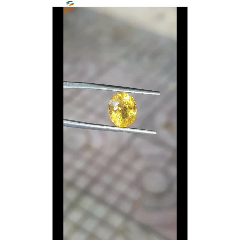 Kẹp gắp đá chuẩn GEMS