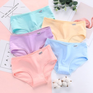 Quần lót nữ coton màu trơn _ quần lót pulo xuất mỹ