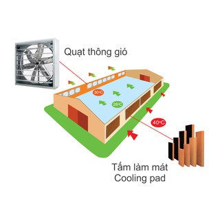 QUẠT THÔNG GIÓ GẮN TƯỜNG IFAN/C