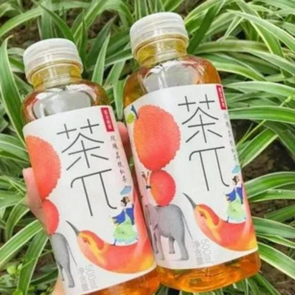 Trà Nongfu- Đậm vị trà- Thanh mát- Ngọt nhẹ