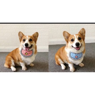 YẾM Chó mèo cute😻😻😍