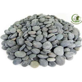 1kg đá sỏi trang trí trồng cây màu trắng, đá hỗn hợp, đá màu trang trí