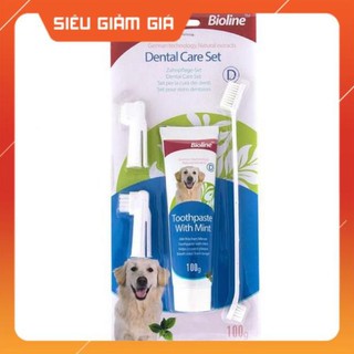 Bộ kem đánh răng bioline hương bạc hà cho chó mèo